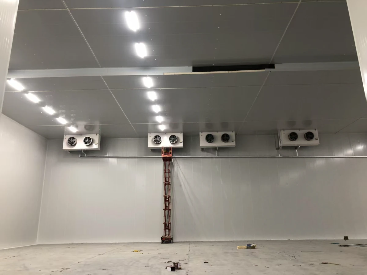 cold storage solution