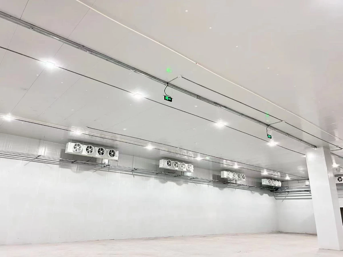 cold storage solution