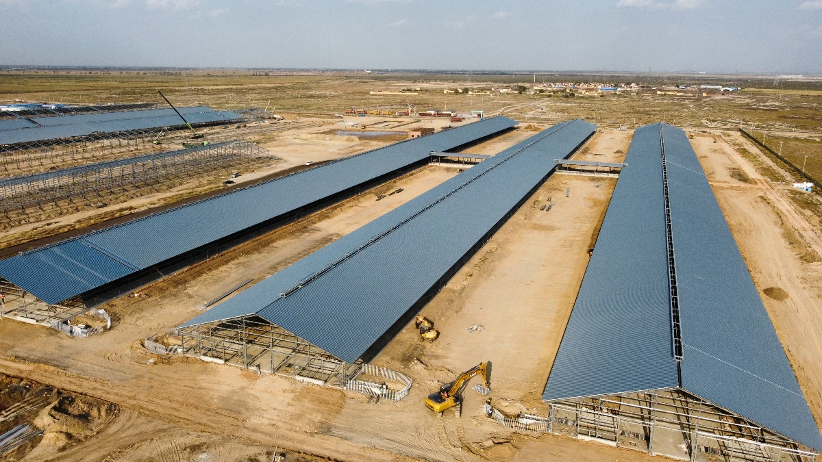edifício agrícola pré-fabricado